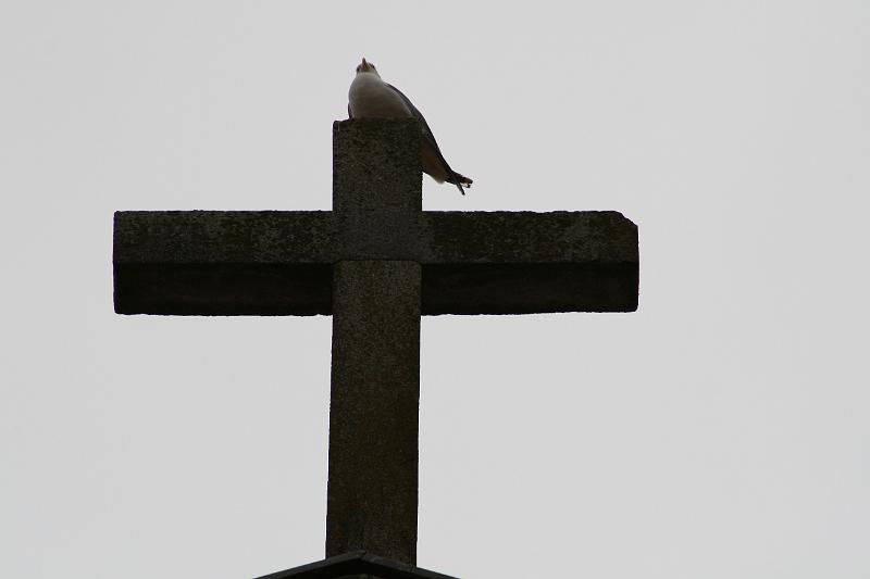IMG_1163.JPG