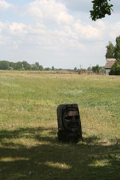 IMG_4949.JPG