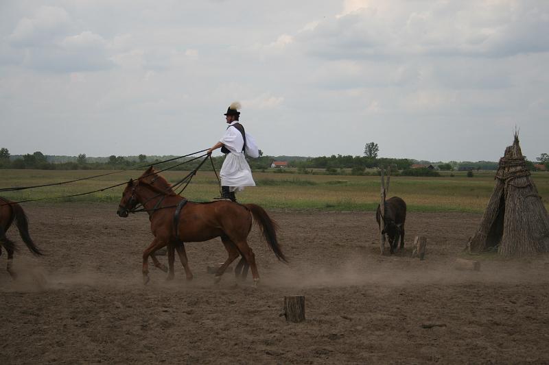 IMG_4971.JPG