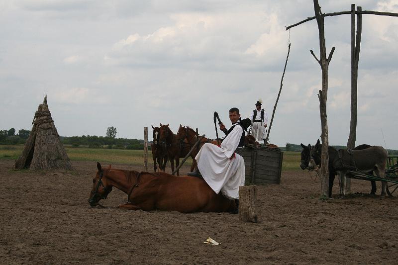 IMG_4987.JPG