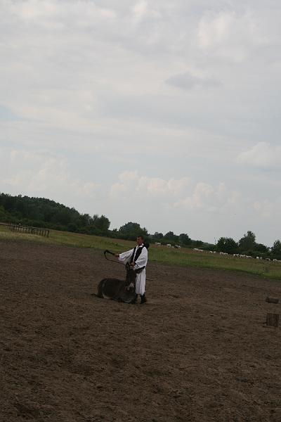 IMG_5003.JPG